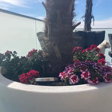 公寓 E-baltic - Rewal, Your Beachfront Apartments, *