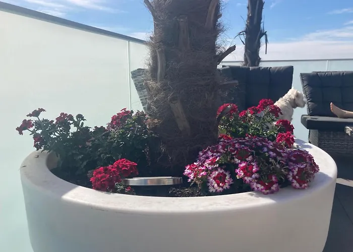 Apartment E-baltic - Rewal, Your Beachfront Apartments, *